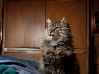 Hermes night DS couch P2030442